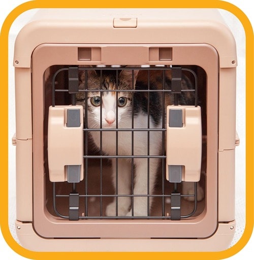 ドアは左右両方から開けられる 猫用キャリーバッグおすすめ イメージ