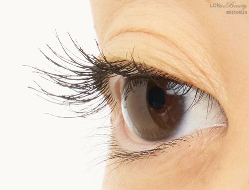 仕上がり マスカラおすすめ イメージ