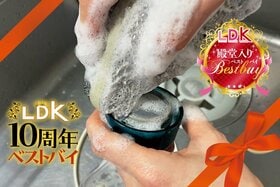 【LDK殿堂入り】毎日本当にありがとう。食器用スポンジ、100均で十分と思っている人へ。