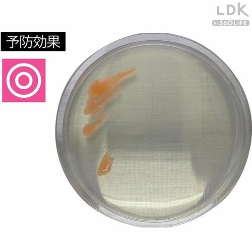 端の方からピンクカビ登場 お風呂掃除用洗剤おすすめ イメージ