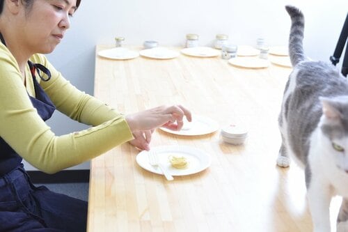 おわりに イメージ