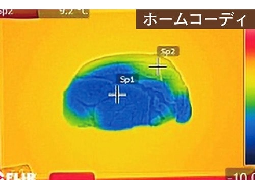 ホームコーディ 解凍プレートおすすめ イメージ