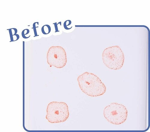 Before 流せるトイレクリーナーおすすめ イメージ