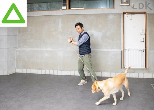選び方2:適度な柔軟性のものを選ぶ 犬用リードおすすめ イメージ2