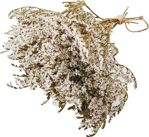 ポイント:棚に置くだけで格好いい! イメージ2