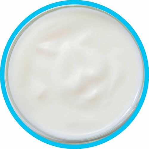 ヨーグルトおすすめ 共進牧場 ジャーマンヨーグルト(プレーン) イメージ2