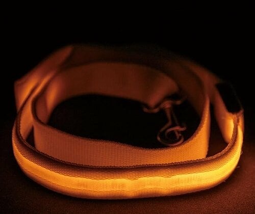 犬のお散歩用ライトおすすめ MAKER ピカっと光る犬用リード イメージ2