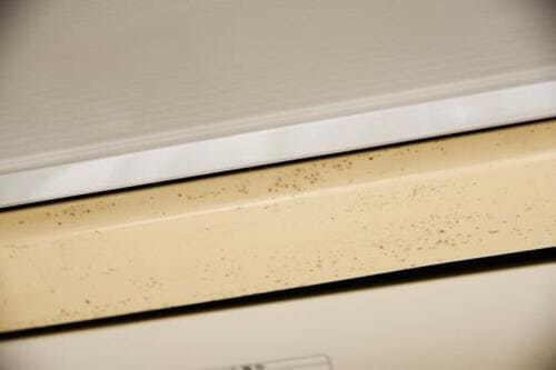 本当にキレイ? お手入れ前とお手入れ後を比べてみました イメージ2