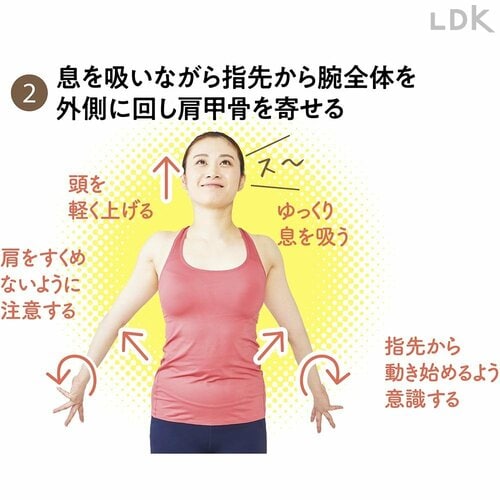 2:息を吸いながら指先から腕全体を外側に回し肩甲骨を寄せる 初心者向けストレッチ用ポールおすすめ イメージ