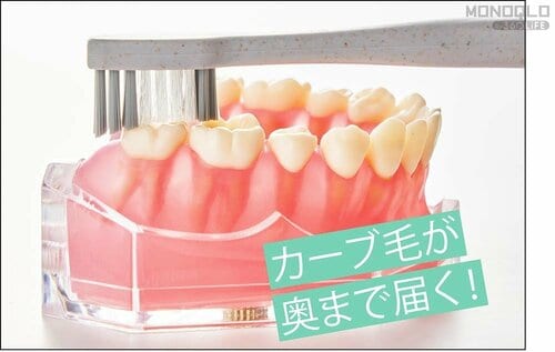カーブの先が奥歯まで届き、歯に沿うようにフィット! 歯磨き粉おすすめ イメージ2