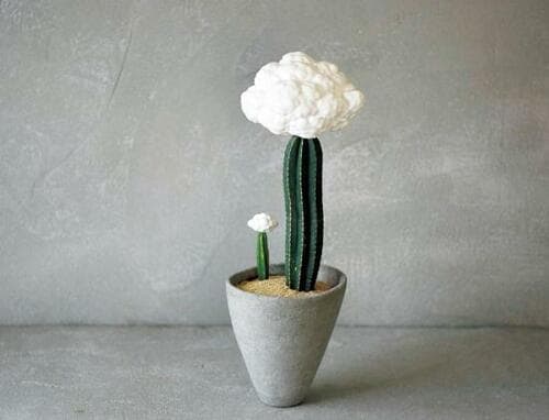 天まで昇るサボテンEchidna Jin「大きな雲の接木サボテン」 イメージ