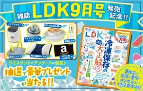 雑誌『LDK』読者プレゼント応募ページ　アンケートに答えて豪華プレゼントをゲット♡