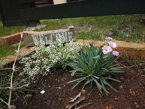 フィルタを使えば思いどおりの映像を残せます イメージ8