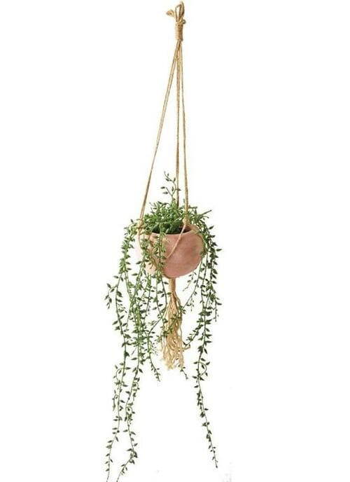 壁掛けにはやや重い「オーサムストア セネシオ」 イメージ