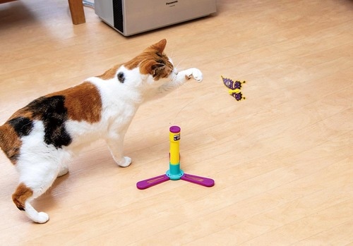 動き方が平凡で遊ばないネコも…… 猫用おもちゃおすすめ イメージ