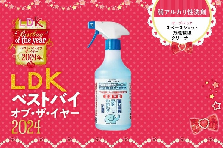 大掃除、アレコレ洗剤使うのがめんどくさい人へ。スペースショットが最適解でした【LDKベストバイ2024】