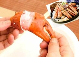 【お取り寄せ】かに物語のDeep Sea Red Crabは本当にウマい？｜買って損なし“冬の味覚”特集vol.1