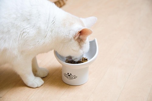 1:食べやすさ イメージ