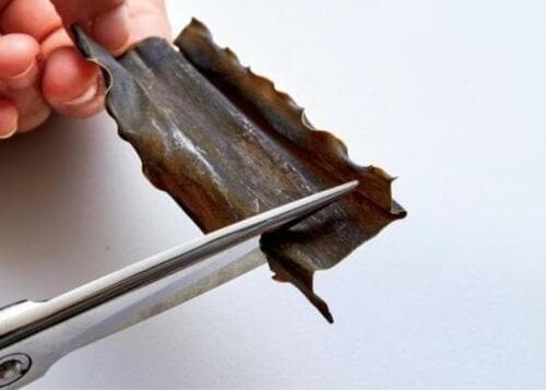 硬い素材も美しくカットできる 「ヴェルダンキッチンハサミ2」