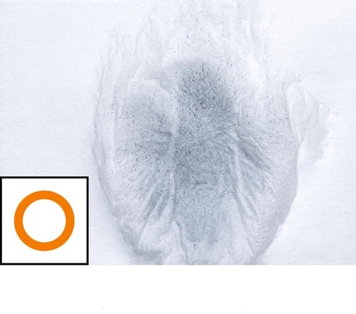 【耐水性】 増毛パウダーおすすめ イメージ