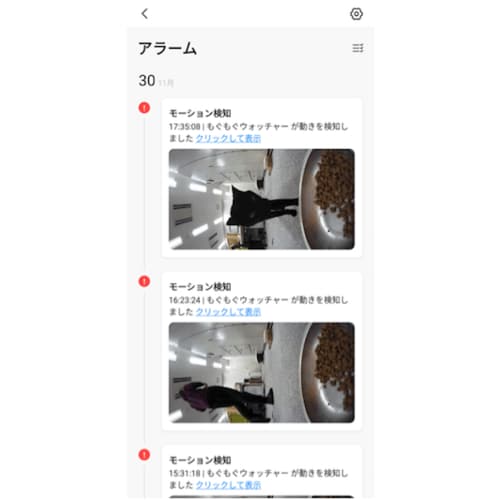 モーション検知機能で異変を察知！ 自動給餌器おすすめ イメージ