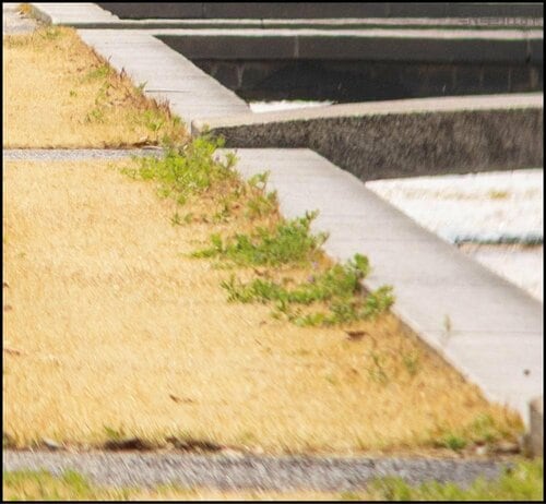 【ここがイチ推し!】風景の細部まで拾ってくる。「推し」の汗だって見えるかも 双眼鏡おすすめ イメージ
