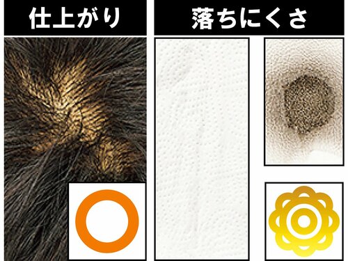 落ちにくさはベストと同等も仕上がりが薄め 増毛スプレーおすすめ イメージ