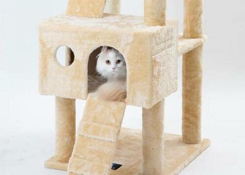 楽しめる工夫が盛りだくさん！コスパ最強のマックスシェアー イメージ4