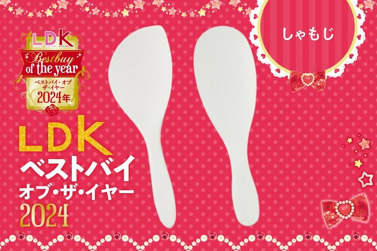 しゃもじを替えたら盛りつけ上手に！ 青芳&マーナの逸品に乗り換え確定です【LDKベストバイ2024】