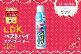 フチ裏との闘い、終結！ 泡タイプのトイレ洗剤ならアイメディアが最強でした【LDKベストバイ2024】