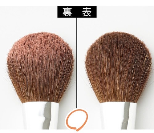 片面3分の2だけにつければ自然に チークおすすめ イメージ2