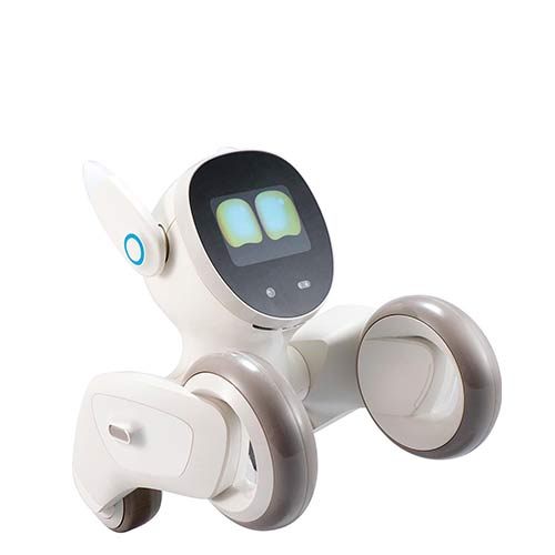 ルーナ・ジャパン「Loona Blue」おすすめ ルーナ・ジャパン Loona Blue イメージ1