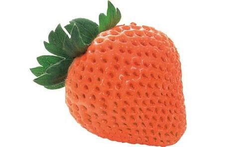 甘さ・食感・香りは品種によって違いがあります イメージ7