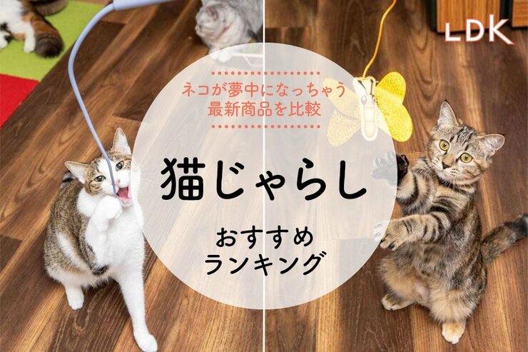 【LDK公式】猫じゃらしのおすすめランキング。ネコがよく遊ぶ人気おもちゃを比較