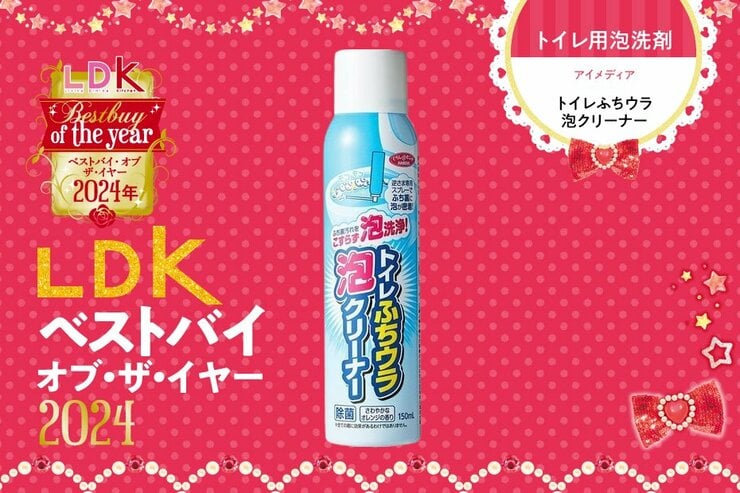 フチ裏との闘い、終結！ 泡タイプのトイレ洗剤ならアイメディアが最強でした【LDKベストバイ2024】