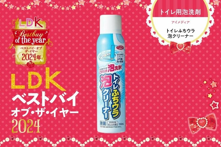 フチ裏との闘い、終結！ 泡タイプのトイレ洗剤ならアイメディアが最強でした【LDKベストバイ2024】