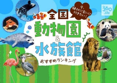 専門家が選ぶ動物園・水族館おすすめランキング30選｜デートや家族で行き