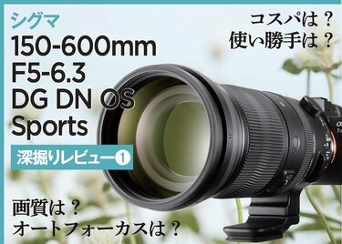 カメラ 望遠レンズ SIGMA | nate-hospital.com