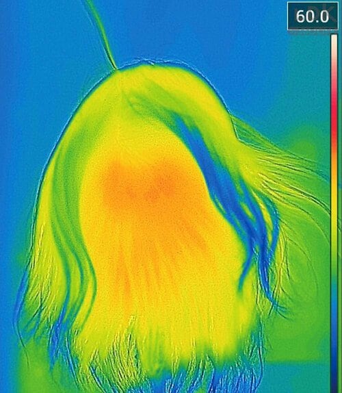 ダメージを与えずしっとりまとまる LDKおすすめの美容家電おすすめ イメージ