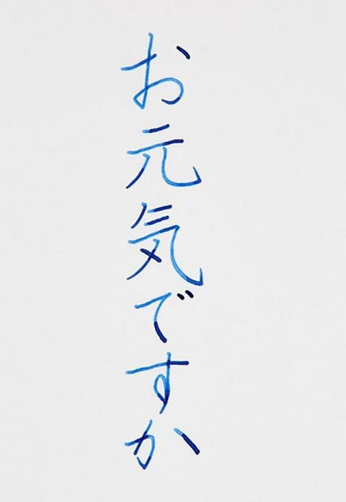 パイロット「コクーン」がほぼ満点評価の最高万年筆です！ イメージ
