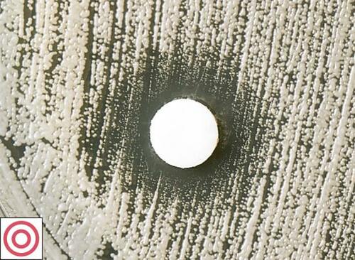 口臭対策に効果絶大!しっかり殺菌できました イメージ6