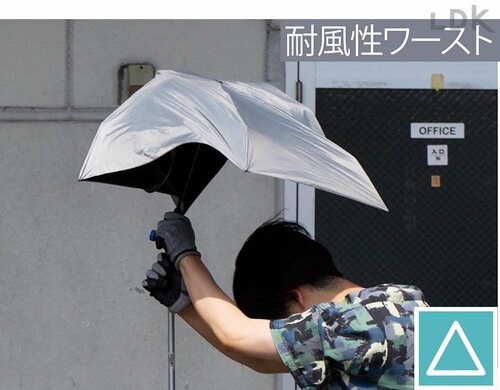 耐風性ワースト LDKベストバイ折りたたみ傘おすすめ イメージ