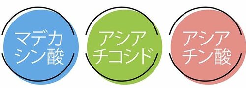 CICAとは? 韓国化粧水おすすめ イメージ