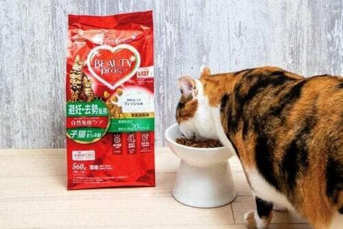 ネコの健康維持につながる栄養設計 猫用ドライフードおすすめ イメージ