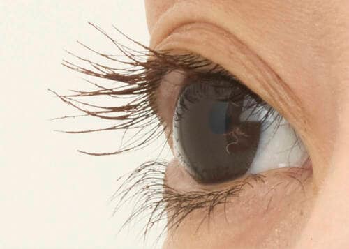 ナチュラルだけどもの足りなさなし! ブラウンマスカラおすすめ イメージ