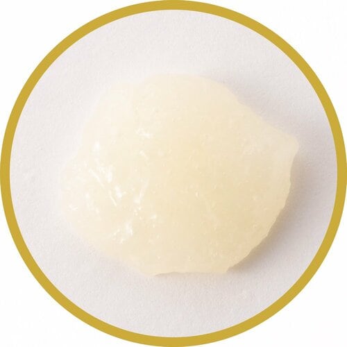 にんにく調味料おすすめ ハウス食品 おろし生にんにく<大容量> イメージ2