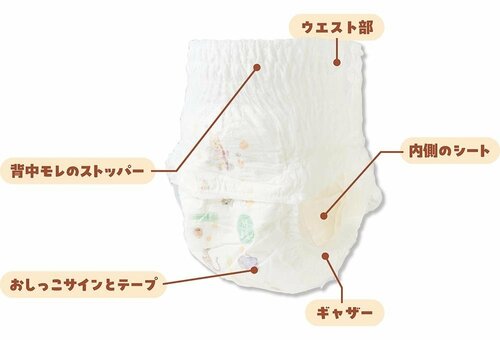 パンツタイプおむつのつくりはどうなっている？ パンツタイプ紙おむつおすすめ イメージ