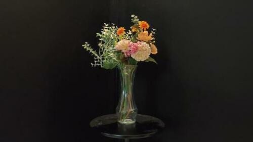 【カメラ機能編】第1世代同様ダイナミックな表現力 イメージ2