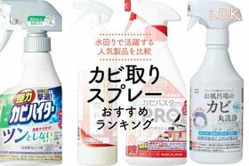 カビ取りスプレーのおすすめ人気ランキング。水回り掃除で使える商品をLDKが比較