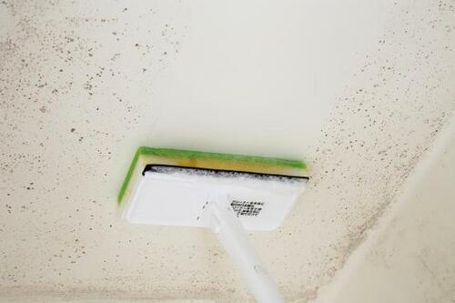 天井のカビは「スティックブラシ＋カビキラー」で拭き取る イメージ2